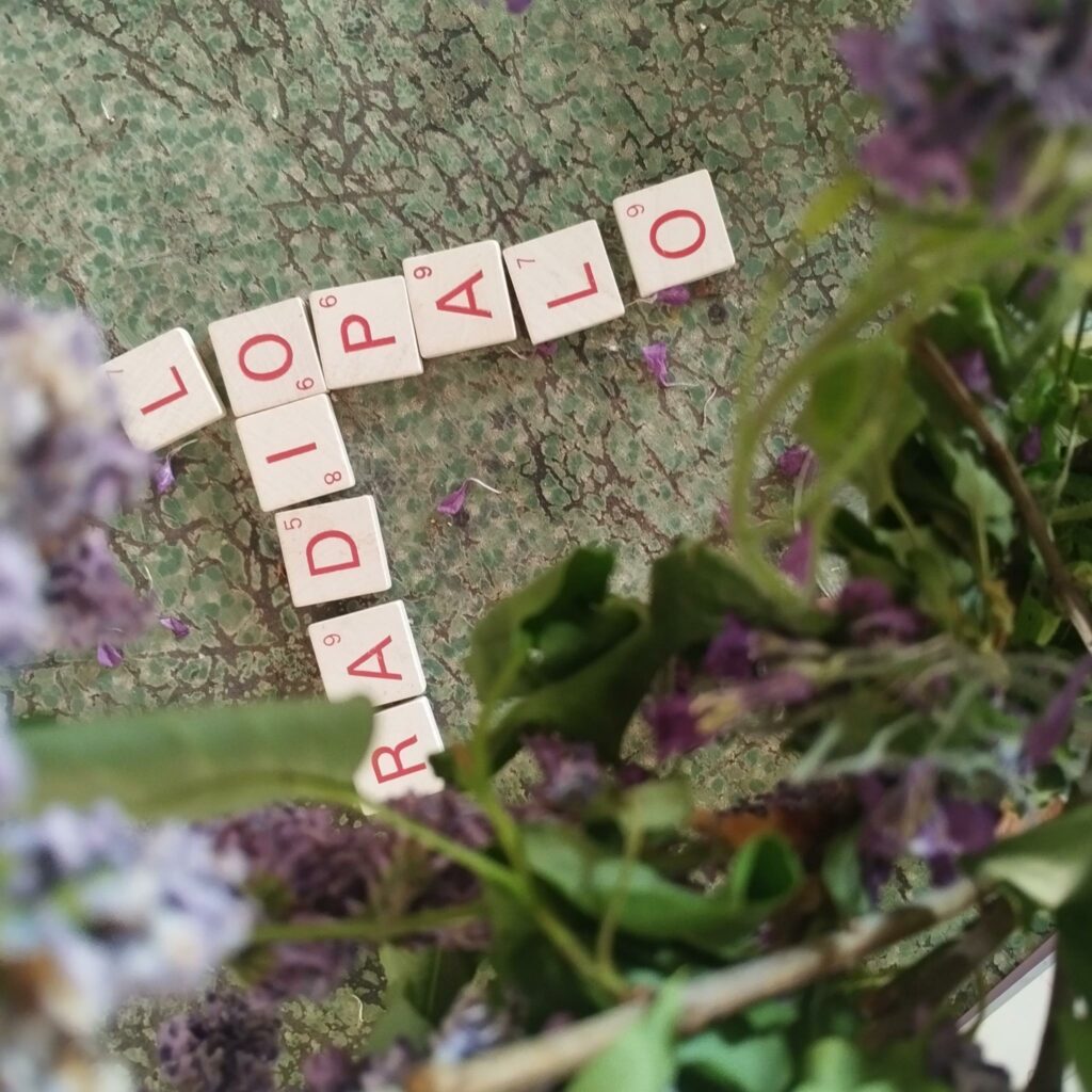 radio lopalo ecrit en diamino avec une fleur en avant plan